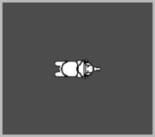 281p-elefante