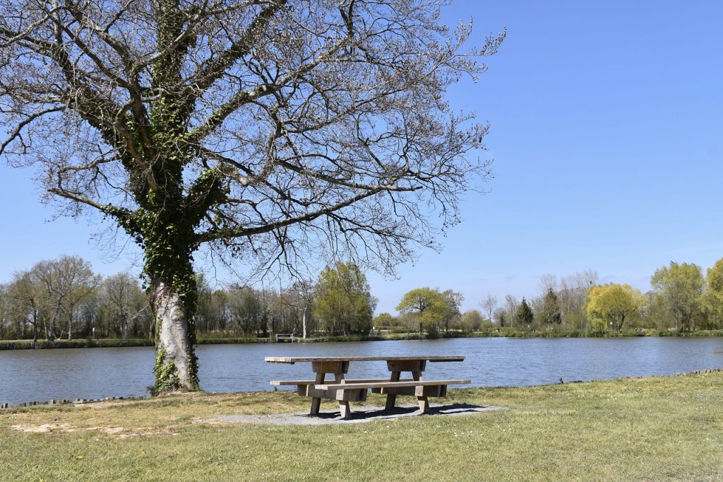 Progettare Aree Pic-Nic: Comfort e Funzionalità per Spazi Verdi